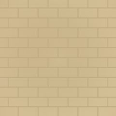 Sandbar acrylic wall color